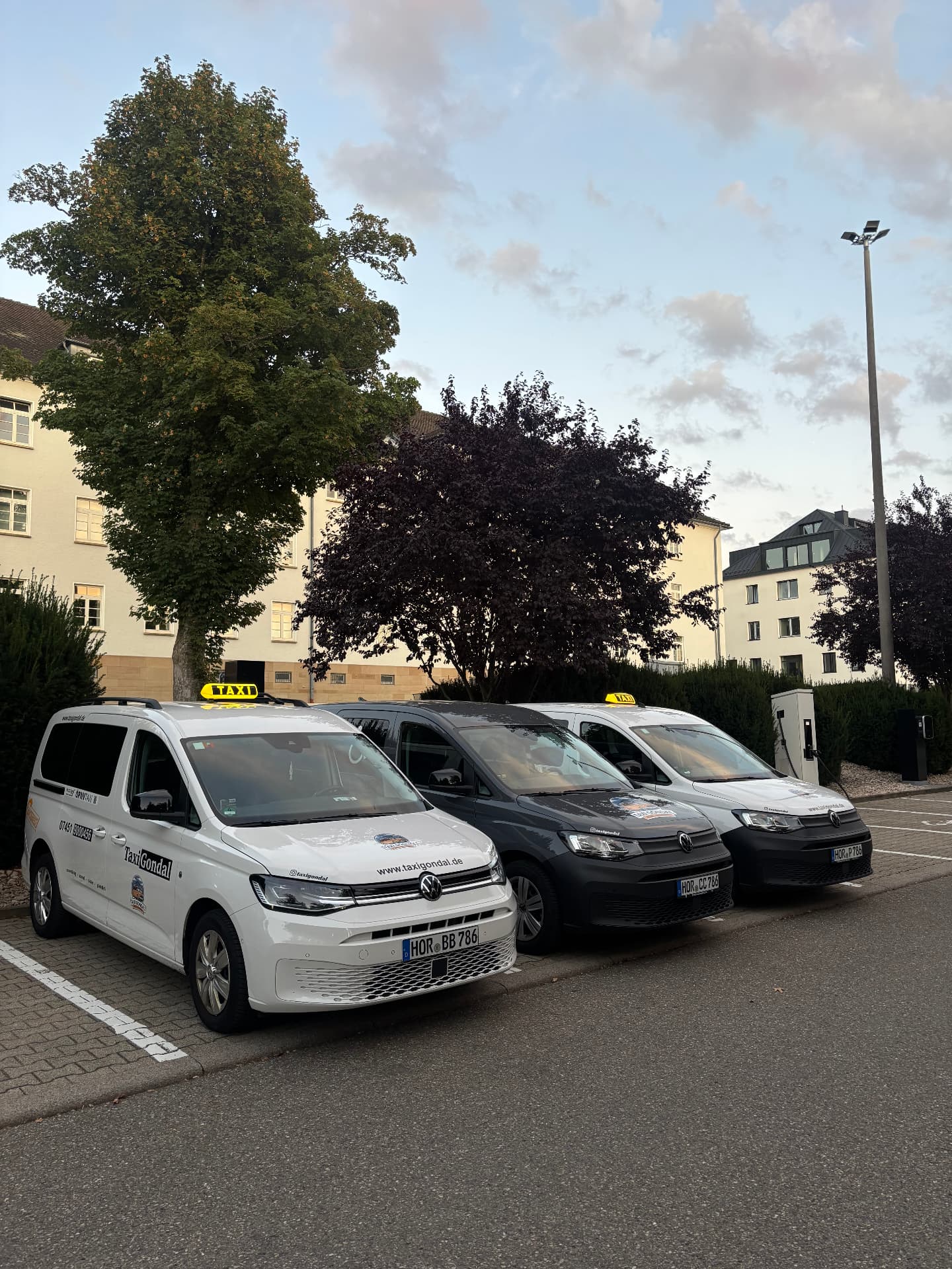 Drei Taxis von Taxi Gondal am Abend in Horb am Neckar