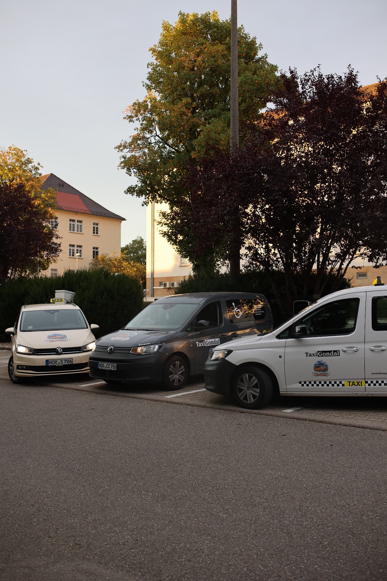 Drei Taxis von Taxi Gondal nebeneinander – Touran, rollstuhlgerechter Caddy und Großraumtaxi